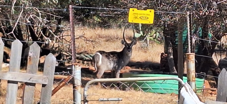 2 Bedroom Property for Sale in Rustenburg Rural North West